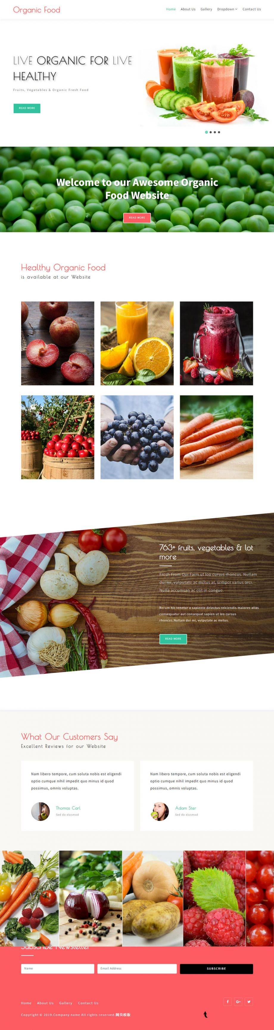 HTML绿色有机蔬菜果汁饮品网站模板
