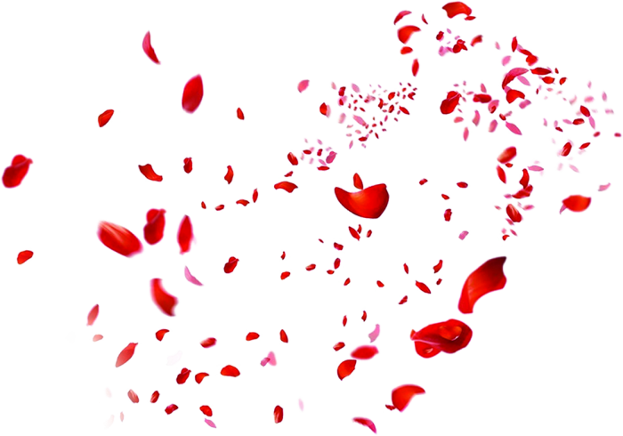 飘落的红色玫瑰花瓣png素材
