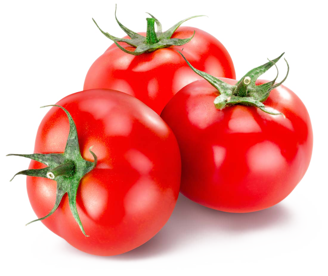 番茄水果实物图