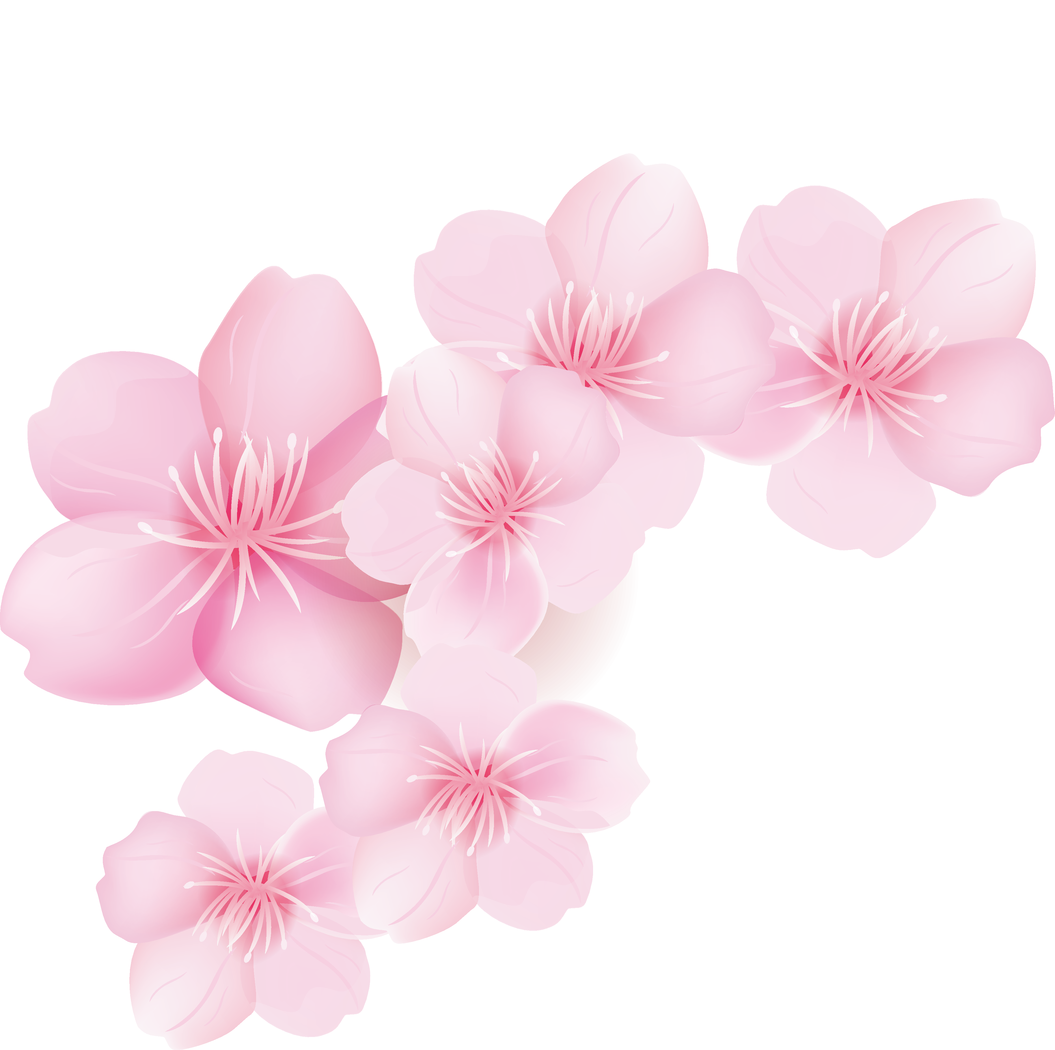清新粉色花朵装饰元素