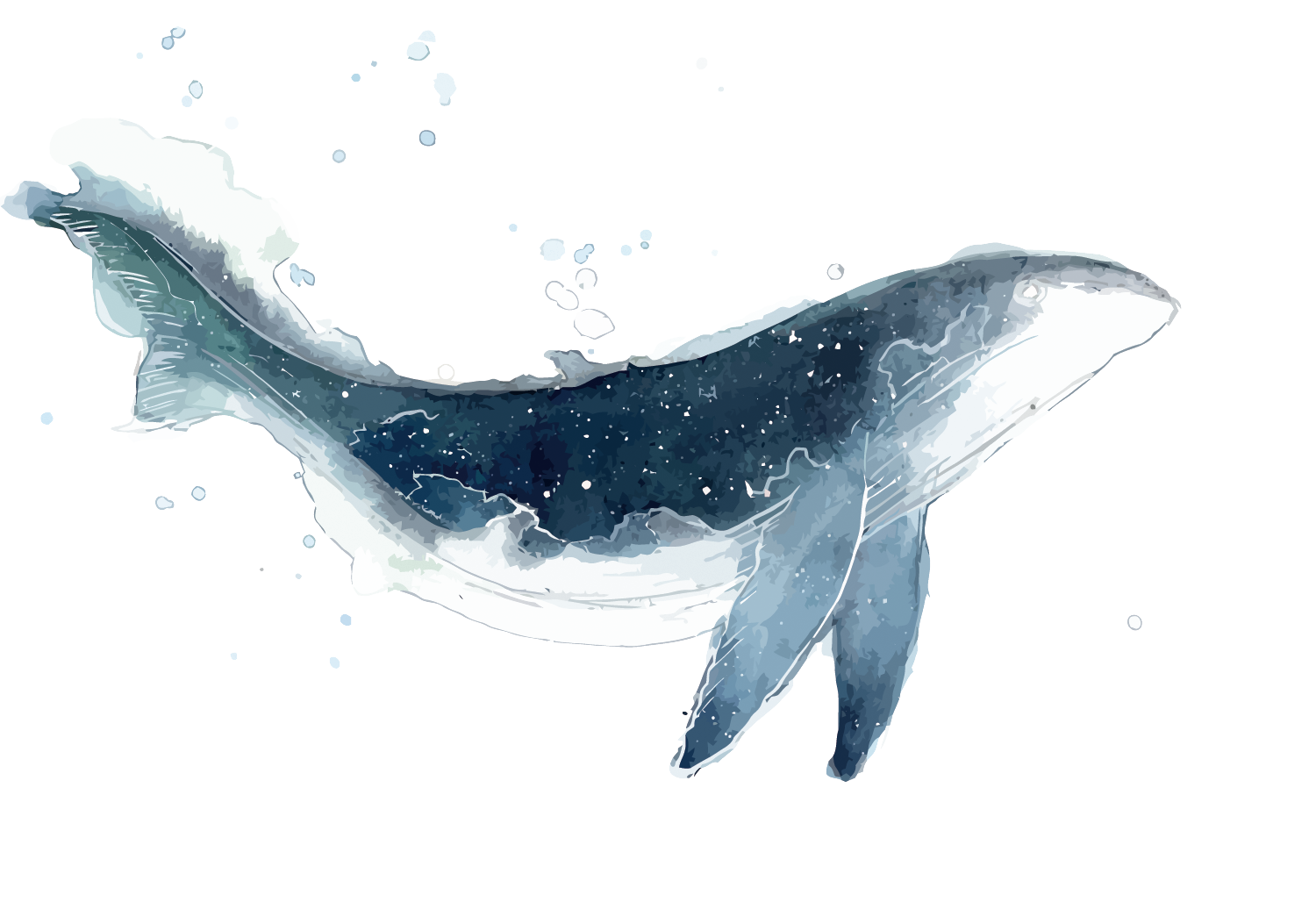 手绘卡通水墨海洋鲸鱼装饰元素