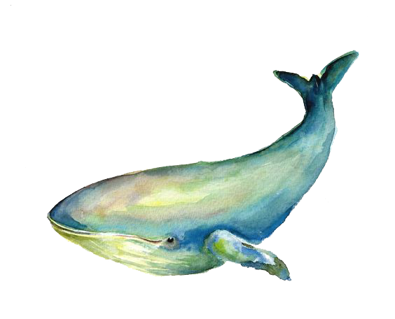 手绘幻彩海洋鲸鱼装饰元素