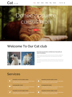 宠物猫俱乐部网站模板