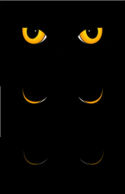 HTML5 SVG猫眼动画特效封面图