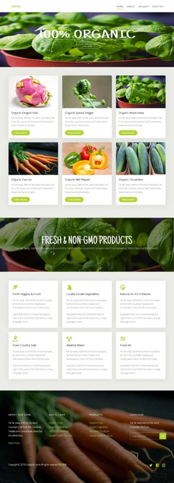 HTML5响应式开发绿色水果蔬菜网站商城模板