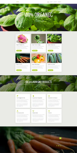 绿色主题有机蔬菜类食品蔬菜种植基地响应式网站模板