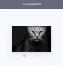 HTML5 SVG线条变形轮播图动画效果封面图
