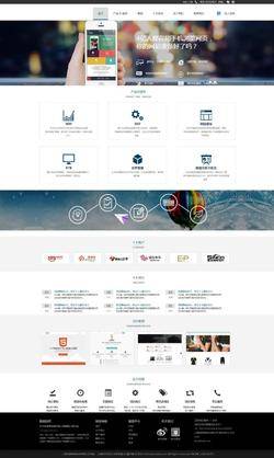 H5网络营销服务公司网页模板