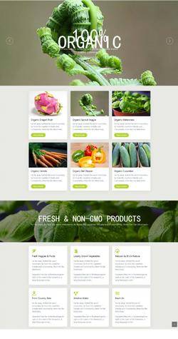 绿色有机蔬菜种植销售网站html5动画模板