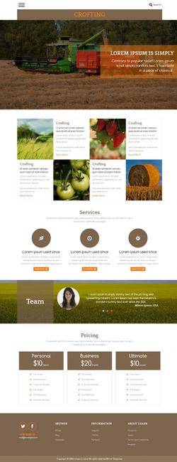 棕色农业Menu导航生态蔬菜种植农场网站模板
