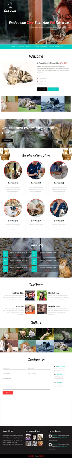 HTML5流浪猫咪救助平台网站模板
