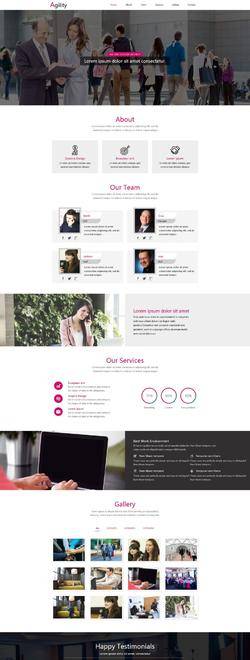粉色欧美风格的商务公司企业网站模板