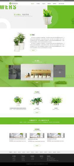 HTML绿色室内盆栽种植养护网站模板