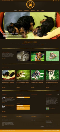 HTML宠物交易信息平台网站模板