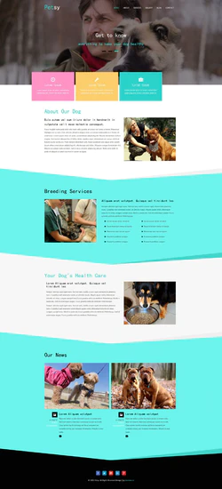 HTML宠物训练美容企业网站模板