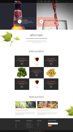 橙色简洁风格的高端红酒整站网站模板
