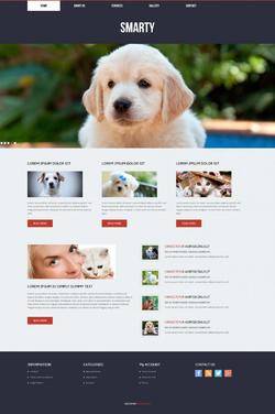 白色简洁风格的宠物美容服务整站网站模板