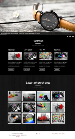 H5黑色风格艺术摄影作品展览网站模板封面图