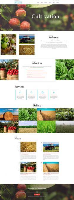 Bootstra响应式的农业有机生态果园网站模板