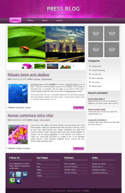 HTML紫色风格的新闻类型网站模板
