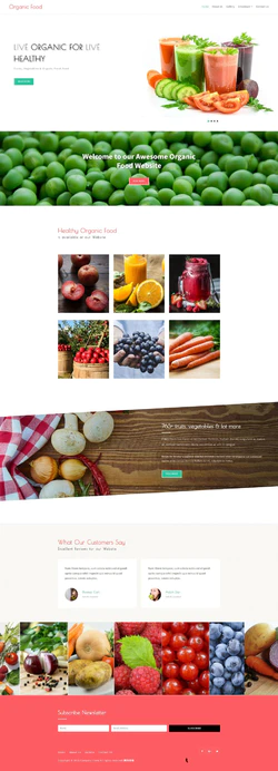 html5响应式绿色健康有机食品果汁饮品店网站模版