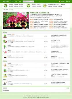 花卉植物类绿色简洁phpwind模板源码