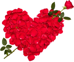 玫瑰花瓣组成的心形免抠元素