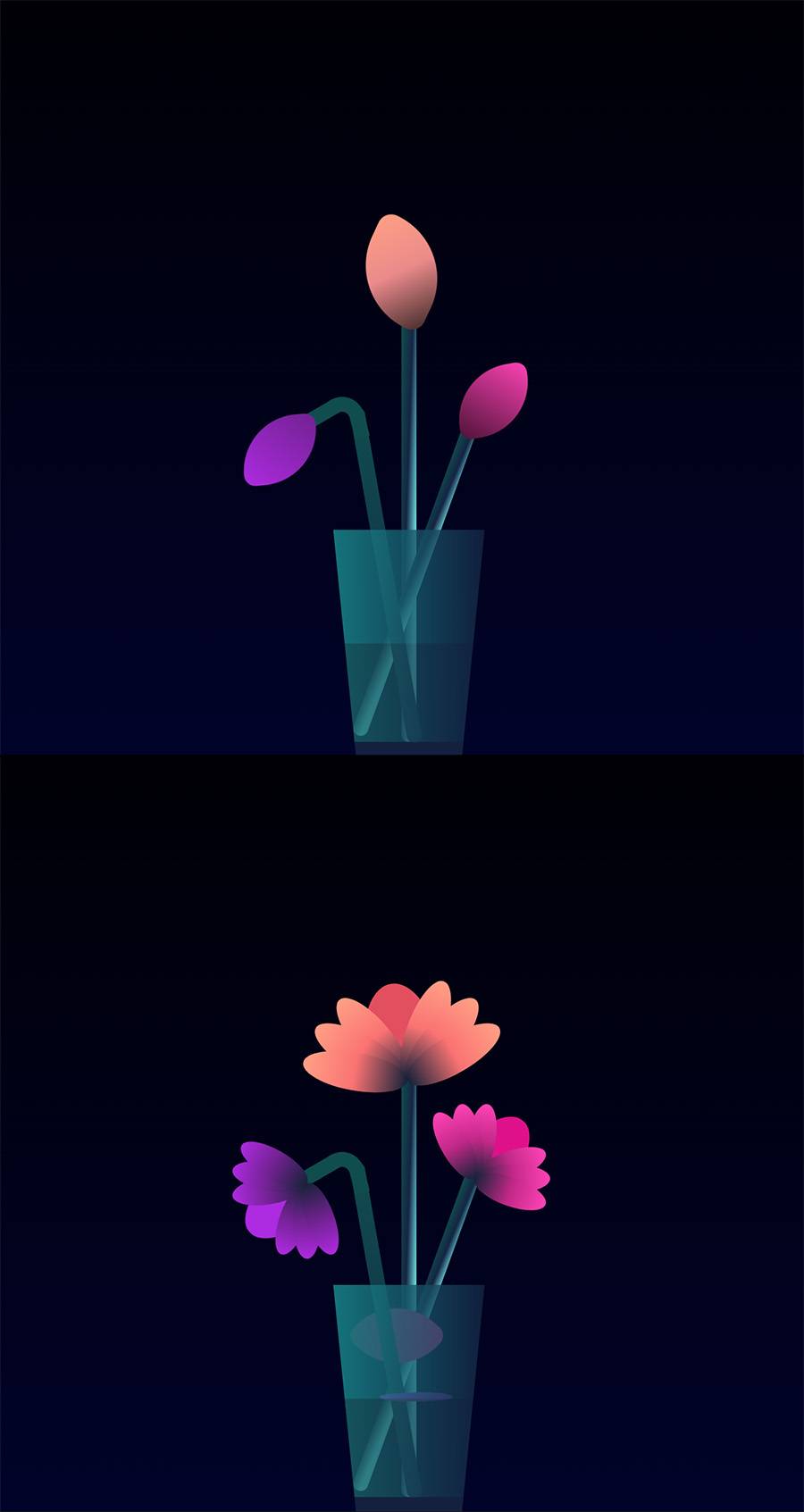 三朵不同颜色花朵同时绽放并飘落一片花瓣动画特效