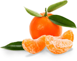 橘子橘子瓣水果png免抠元素
