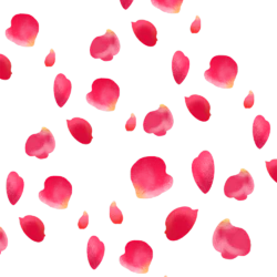 飘落的植物叶子红色玫瑰花瓣png素材