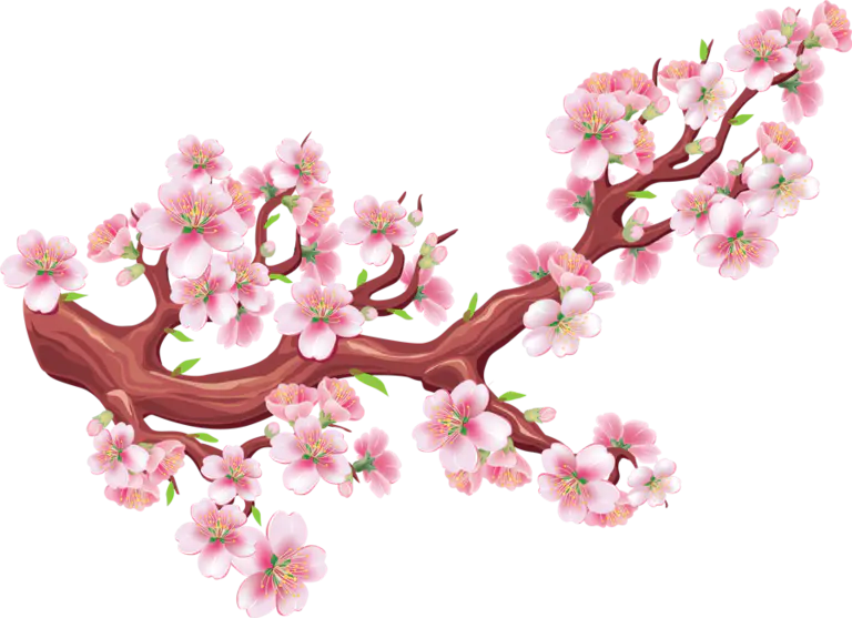 樱花树枝樱花叶粉红卡通png素材
