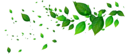 绿色漂浮树叶装饰元素