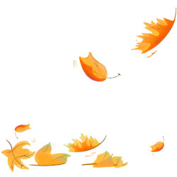 立秋枫叶动植物装饰元素