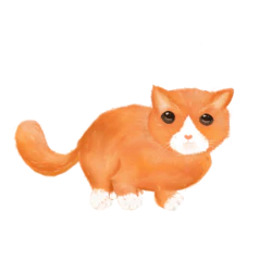卡通橘色猫猫装饰元素