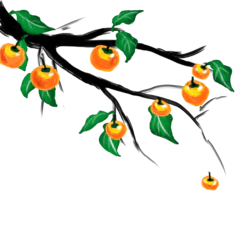  秋天柿子水果装饰元素