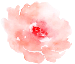 卡通水彩玫瑰花装饰元素