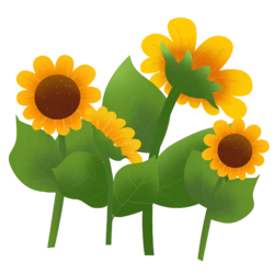 卡通向日葵太阳花装饰元素