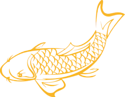 金色线条锦鲤装饰元素