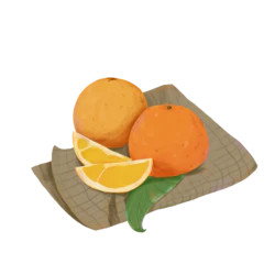  手绘卡通水彩水果橘子装饰元素