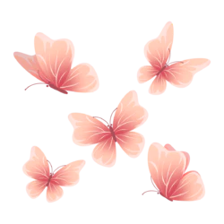 春天手绘粉色蝴蝶装饰元素