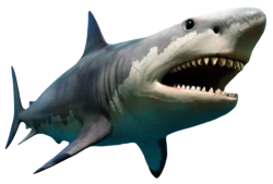 实物深海凶猛庞大的巨齿鲨装饰元素