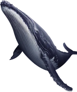 手绘蓝色漂浮深海鲸鱼装饰元素