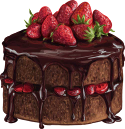 插画绘图草莓巧克力蛋糕高光装饰元素