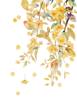 手绘黄色树枝花枝装饰元素