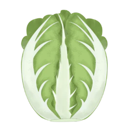 绿色大白菜蔬菜装饰元素