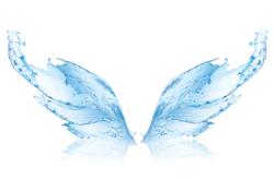 蓝色的蝴蝶翅膀水花装饰元素