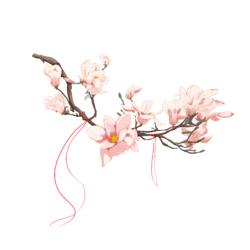 清新桃花卡通树枝红线装饰元素