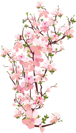 插画手绘粉色樱花绿叶点缀装饰元素