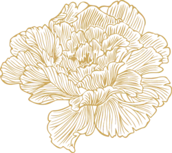 金色线条牡丹花朵装饰元素