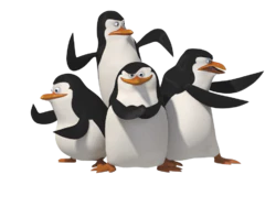 卡通动画电影马达加斯加的企鹅人物装饰元素